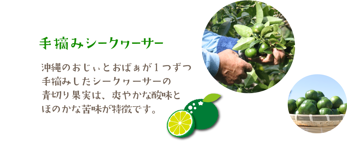 沖縄のおじぃとおばぁが１つずつ手摘みしたシークヮーサーの青切り果実は、爽やかな酸味とほのかな苦味が特徴です。
