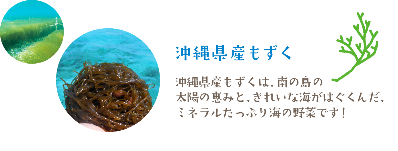 沖縄県産もずくは、南の島の太陽の恵みと、きれいな海がはぐくんだ、ミネラルたっぷり海の野菜です！